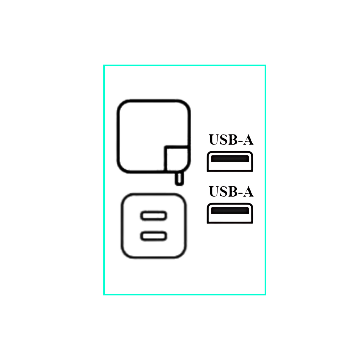 WegaCell Home Port Dual USB